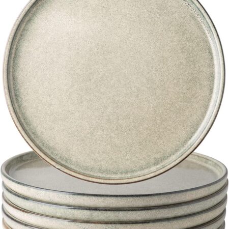 Modern glazed ceramic dinner plate