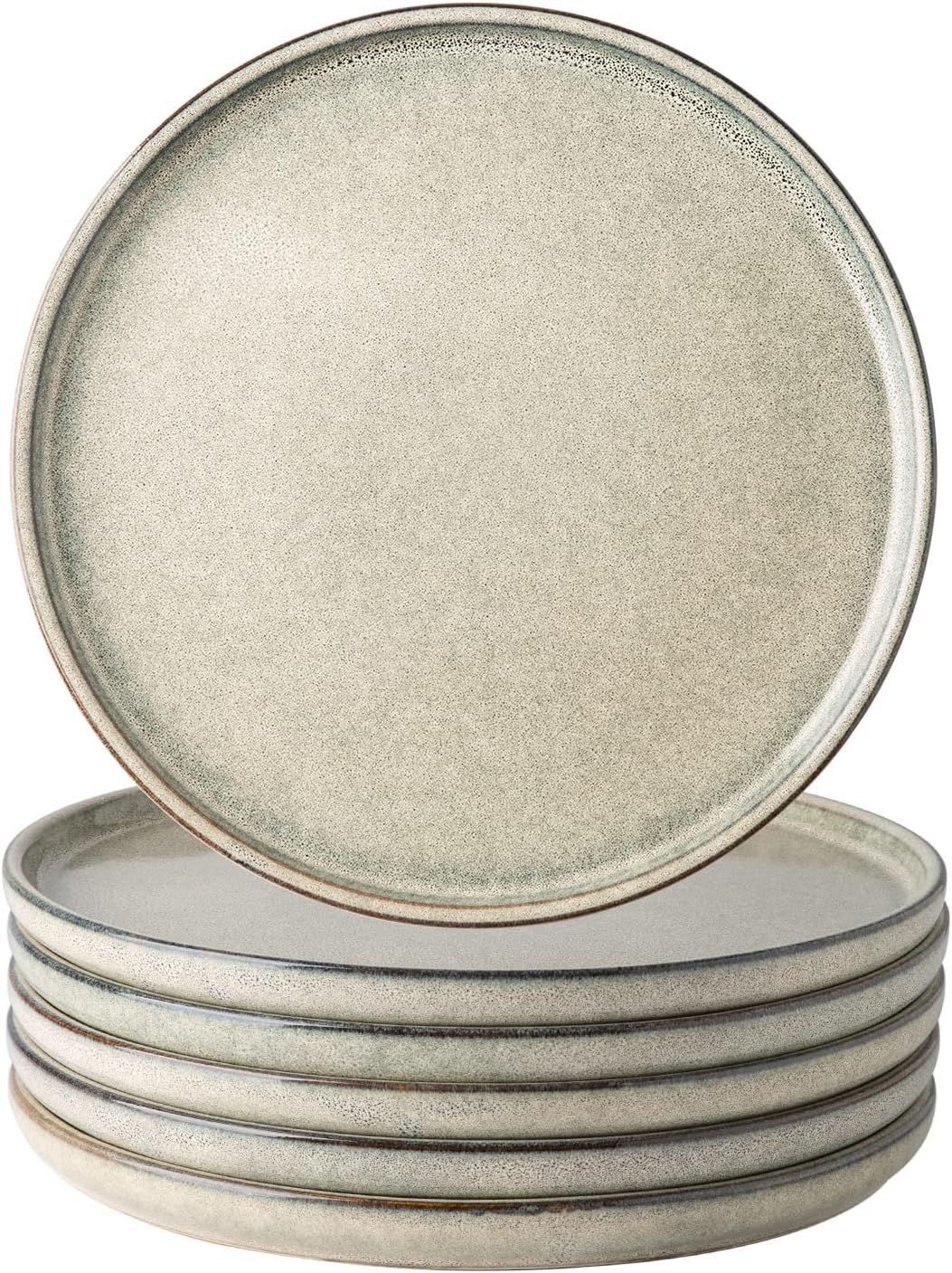 Modern glazed ceramic dinner plate